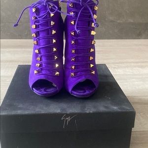 giuseppe zanotti